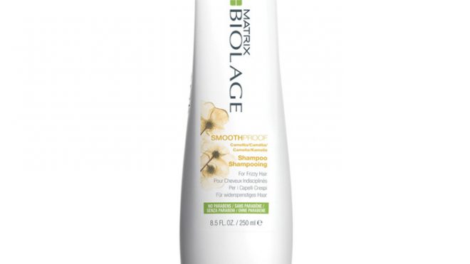 MATRIX BIOLAGE SMOOTHPROOF SHAMPOO 250 ML